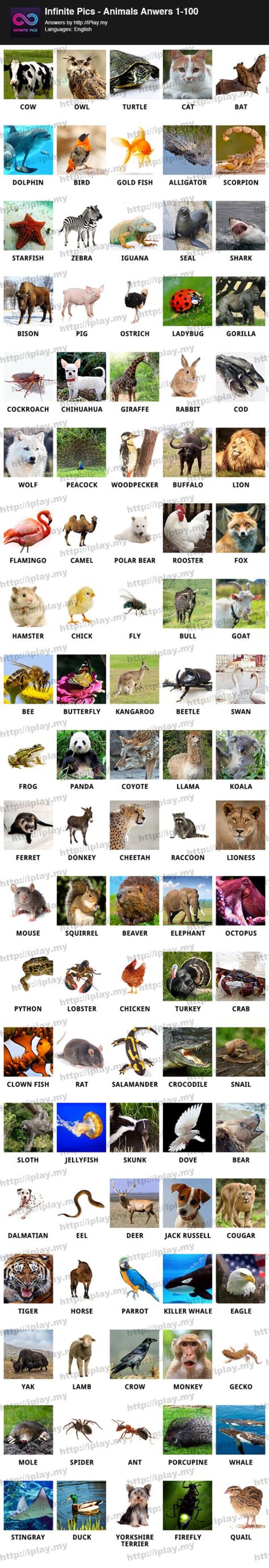 100 Pics Animals • Game Solver