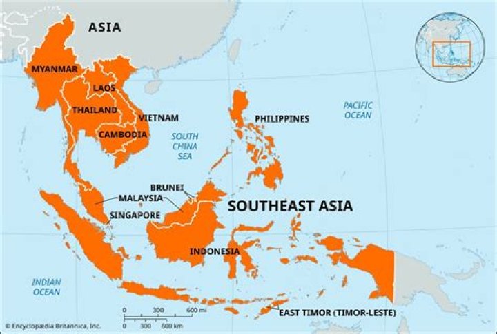 A large, tree-dwelling ape native to Southeast Asia Figgerits Answer