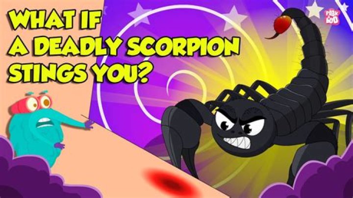 A spider or a scorpion, for example Word Craze Answer