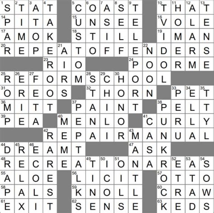 About half of a sidecar Crossword Clue