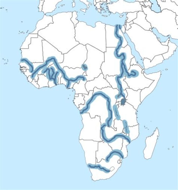 African lakes and rivers Quiz