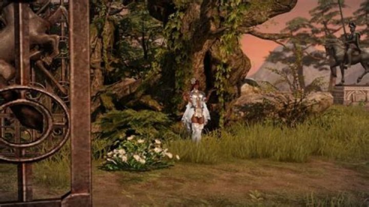 All Mokoko Seed locations in Flowering Orchard in Lost Ark