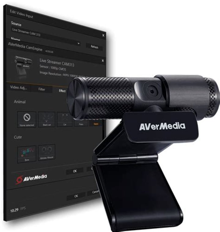 Avermedia PW 313 Webcam Review & Ratings