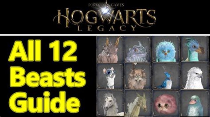 Beast Dens, Hogwarts Legacy Points of interest