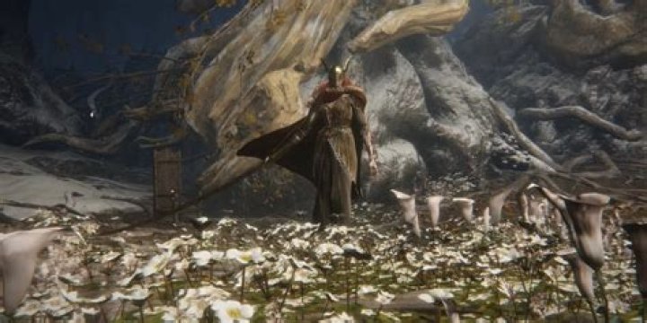 Best Items To Buy Early In Elden Ring?