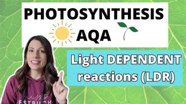 Bio 2.4 Photosynthesis (LDR & LIR) Quiz