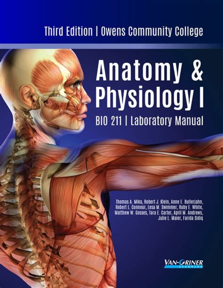 BIO 202 Anatomy and Physiology Test 1 — Playlist