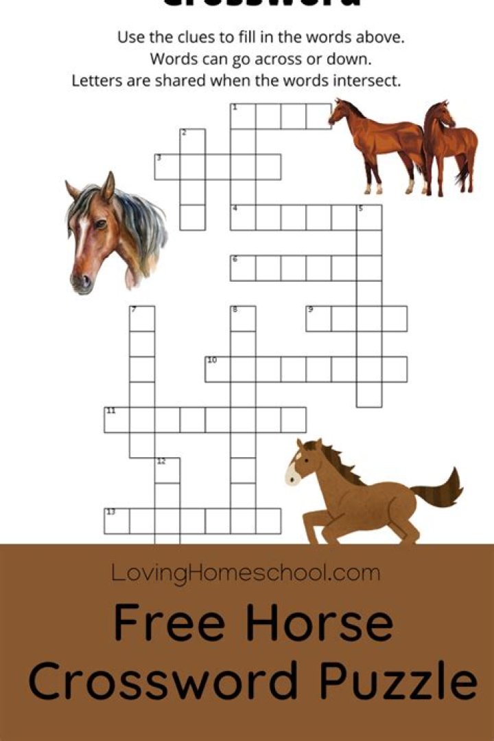 British draft horse Crossword Clue