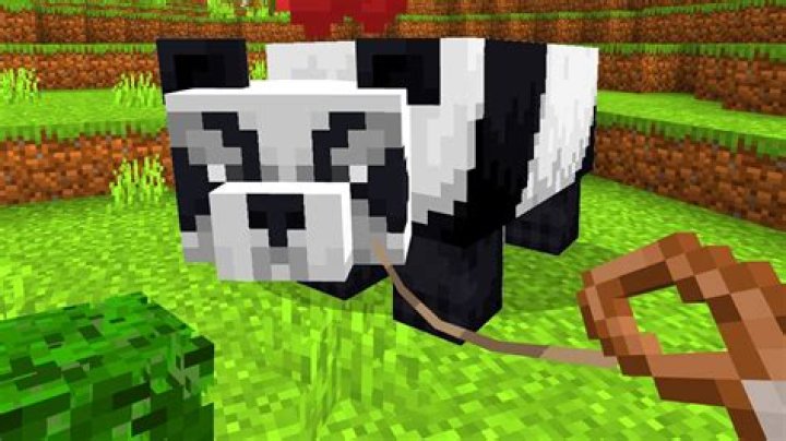 Can You Tame A Panda In Minecraft?