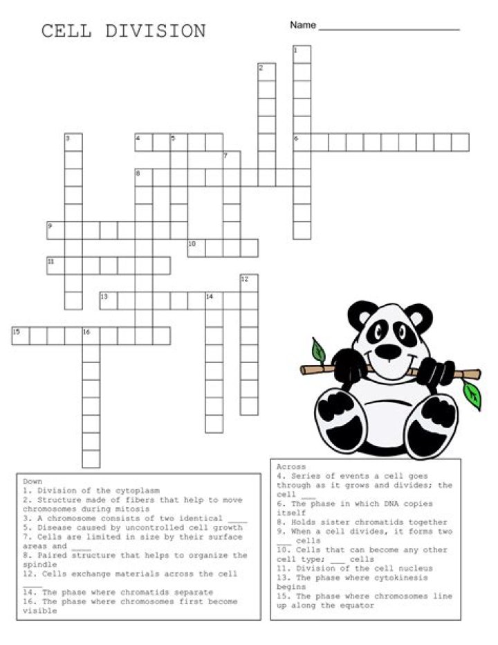 Cell division crossword clue answer