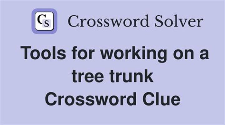 Chunk of tree trunk crossword clue answer