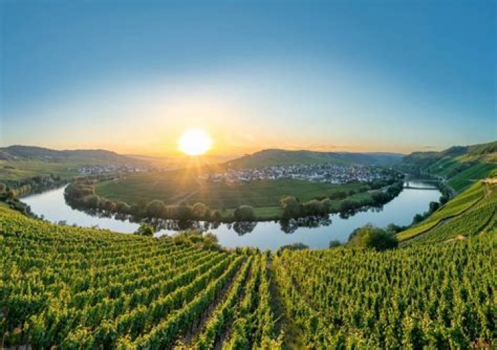 Cologne’s river; German wine valley Word Hike – Answers