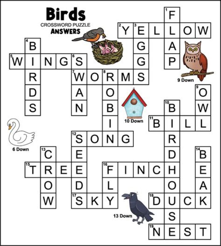 Colorful Galápagos bird crossword clue answer
