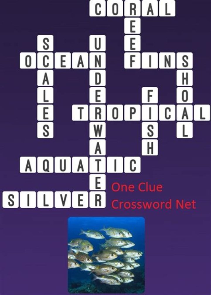 Commonly farmed fish Crossword Clue