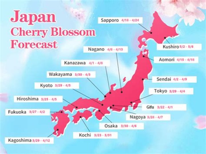 Devour – 25 Cherry Blossoms Locations