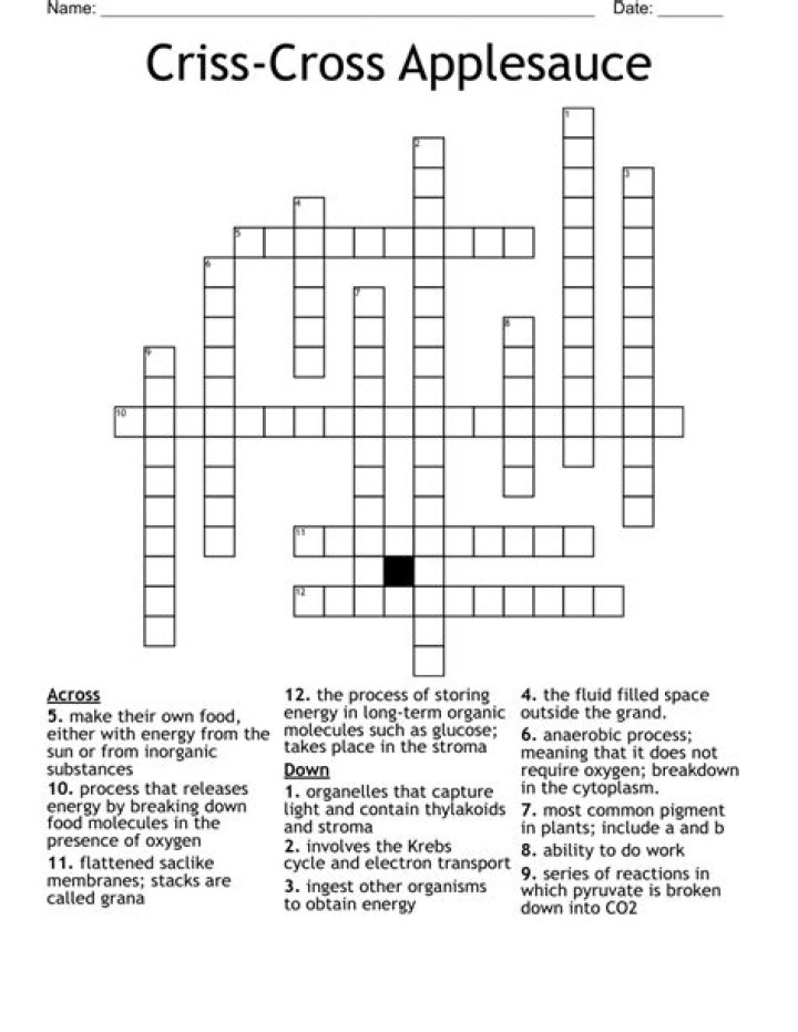 Dish often served with applesauce crossword clue answer