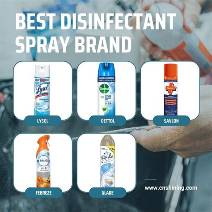 Disinfectant spray brand Crossword Clue