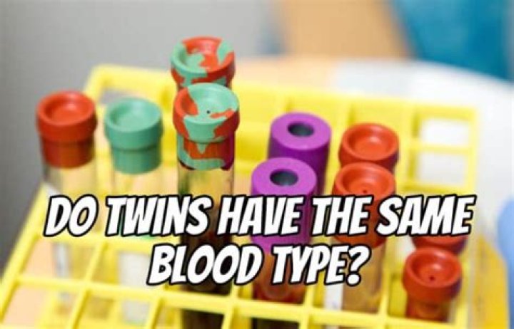 Do twins have same blood type?