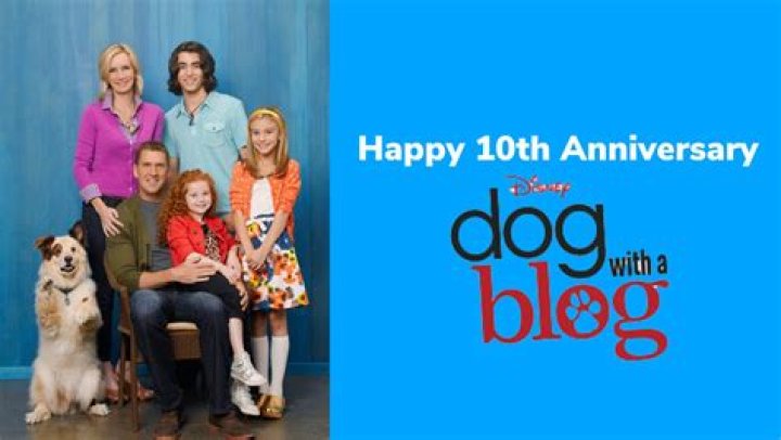 Dog With a Blog Quiz