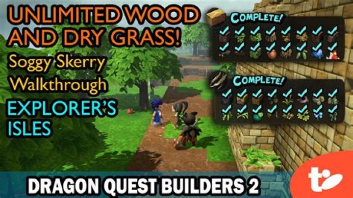 Dragon Quest Builders 2 Explorer Shores Guide