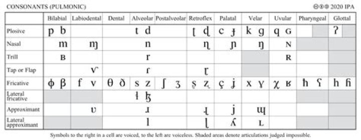 English Consonant IPA Symbols Quiz