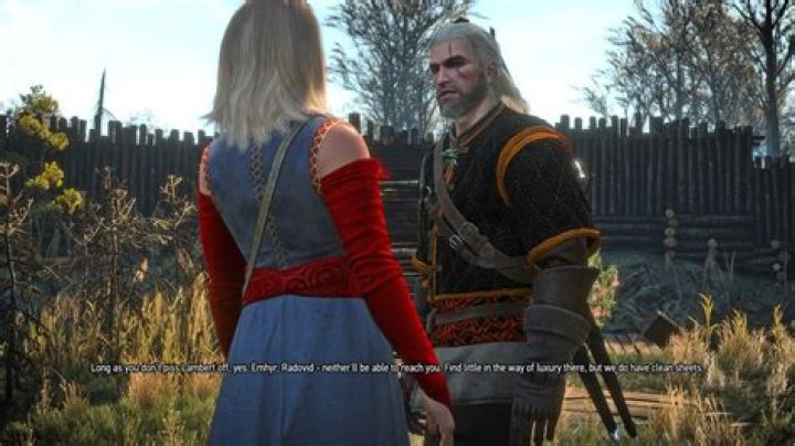 For the Advancement of Learning, Witcher 3: Wild Hunt Quest