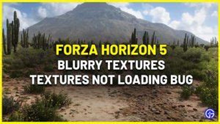 Forza Horizon 5 Blurry Textures & Not Loading Bug PC Fix
