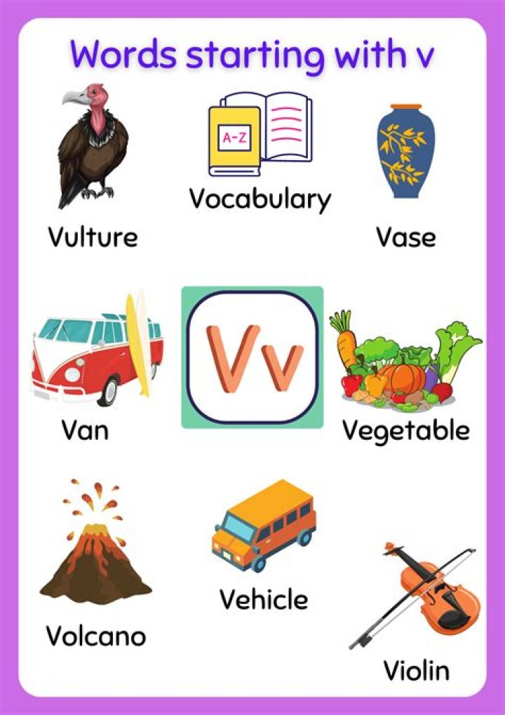 Games Starting With The Letter "V"