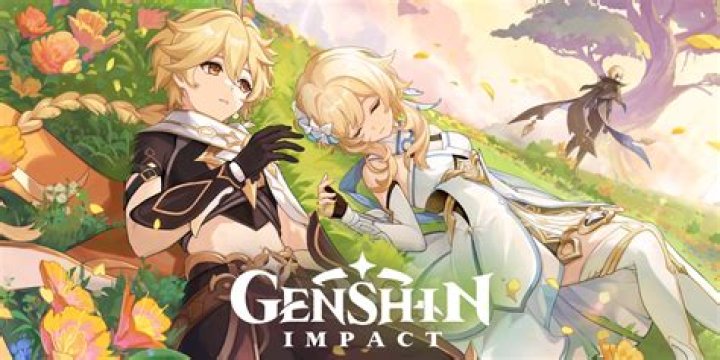 Genshin Impact: What Is A Summon Simulator