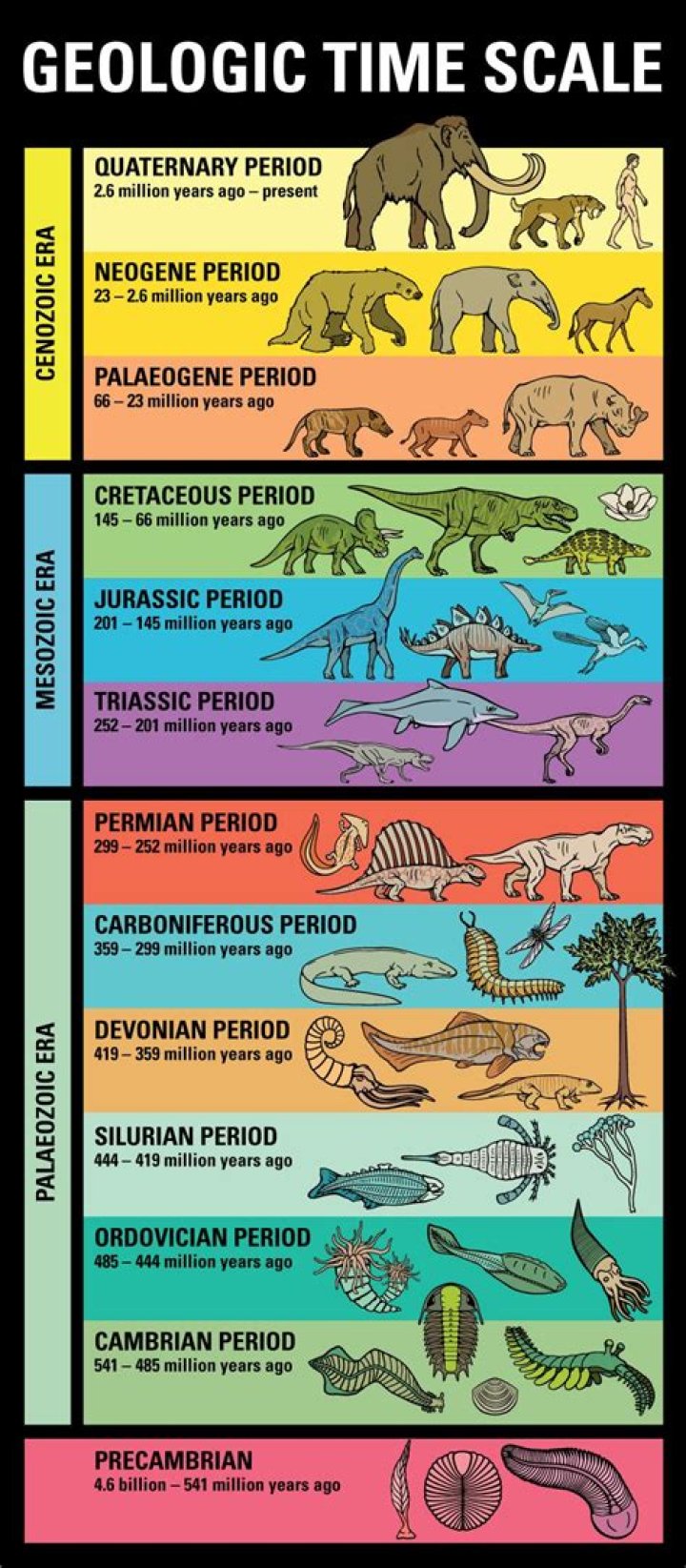 Geologic Time-scale Quiz