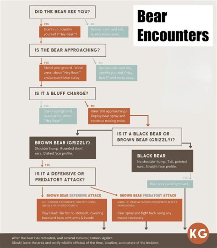Guide to All Boss Encounters