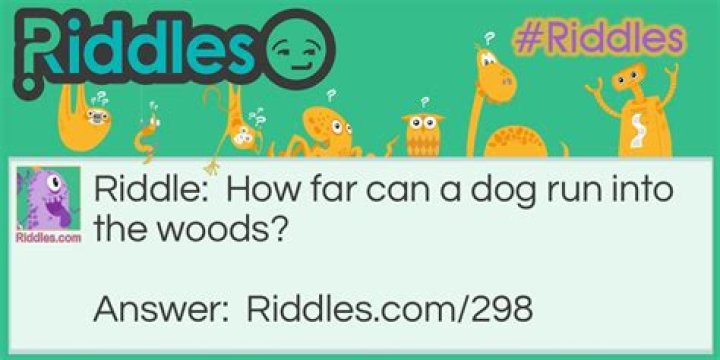 
How far can a raccoon run into the woods? [Riddle Answers]