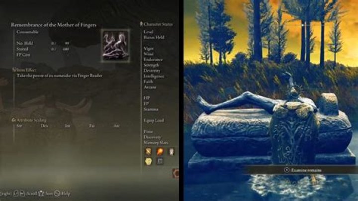 How To Duplicate Remembrance In Elden Ring