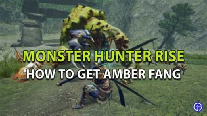 How To Farm And Get Amber Fang