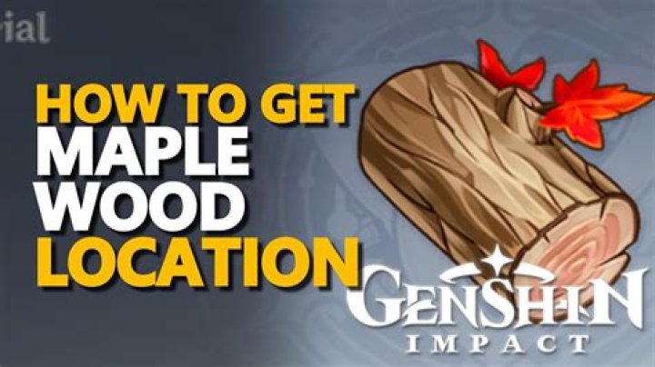 How To Find Maple Wood in Genshin Impact?