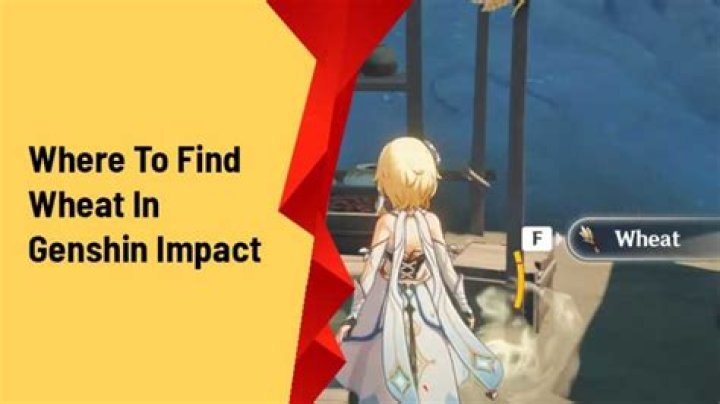 How To Find Wheat In Genshin Impact (Location & Farming Guide)
