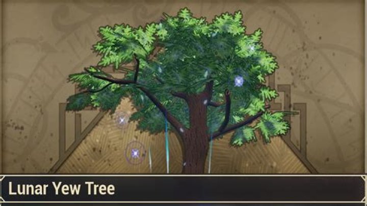 How to get Midnight Yew Essence Tribes of Midgard