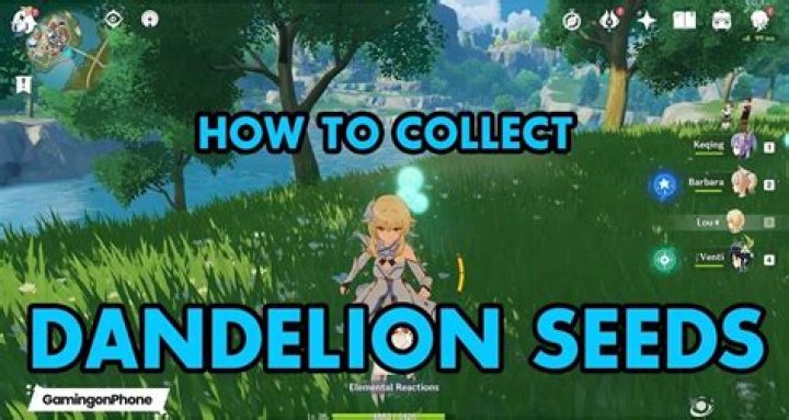 How to get seeds in Genshin Impact