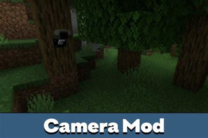 How To Get The Camera Mod For V Rising