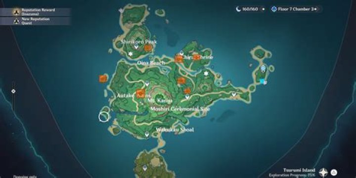 How To Get Through & Clear The Mist On Tsurumi Island Genshin Impact