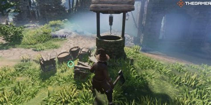 How To Get Water Skin In Medieval Dynasty