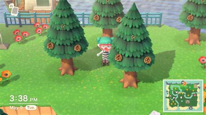 How To Grow A Palm Tree In Animal Crossing New Horizons