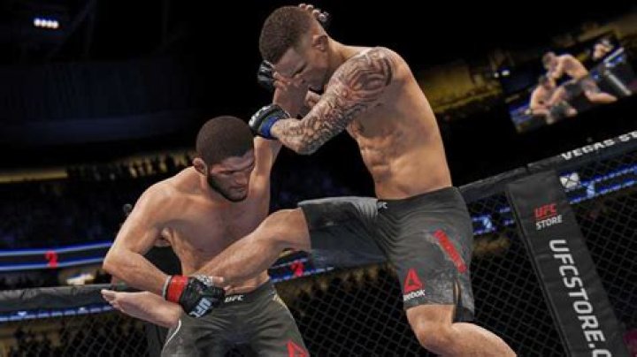 How To Perform Running Punches And Flying Knees in UFC 4?