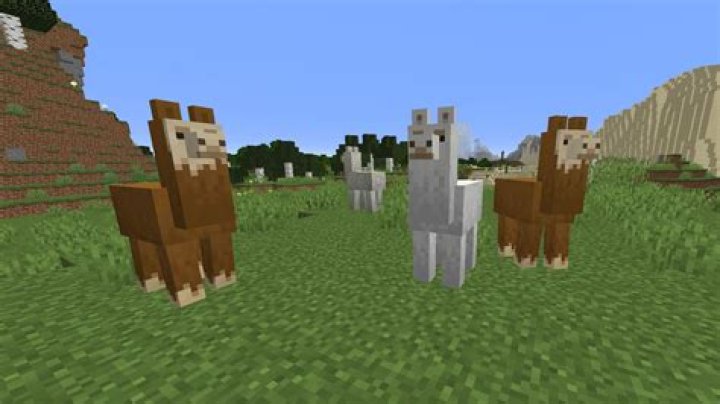 How to Tame and Ride a Llama in Minecraft (2021)
