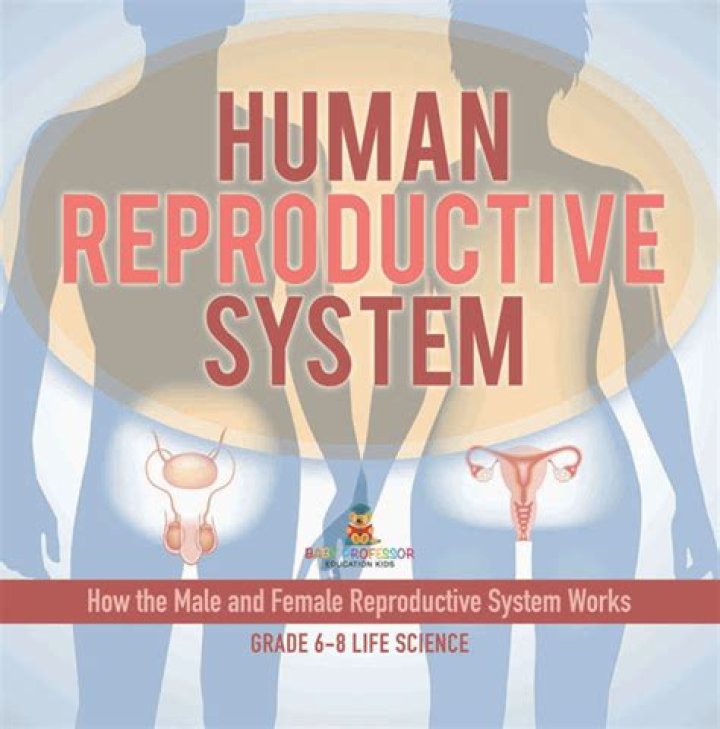 Human Reproductive Systems — Playlist