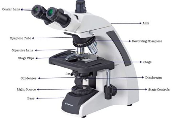 Identifying Parts of Olympus Microscope Quiz