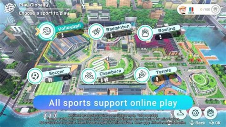 Is Nintendo Switch Sports worth it without online multiplayer?
