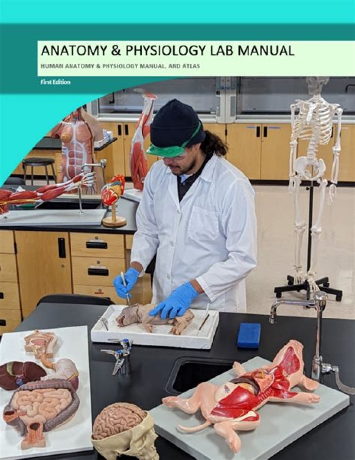 Lab Practical V Muscle II Review Games — Playlist