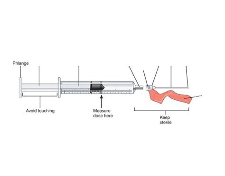 Label the parts of a syringe Quiz