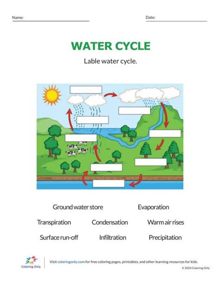 Label The Parts of the Water Cycle Quiz